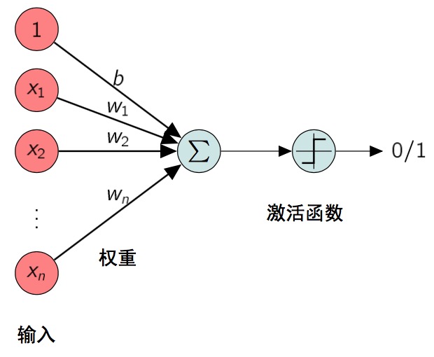 神经元模型